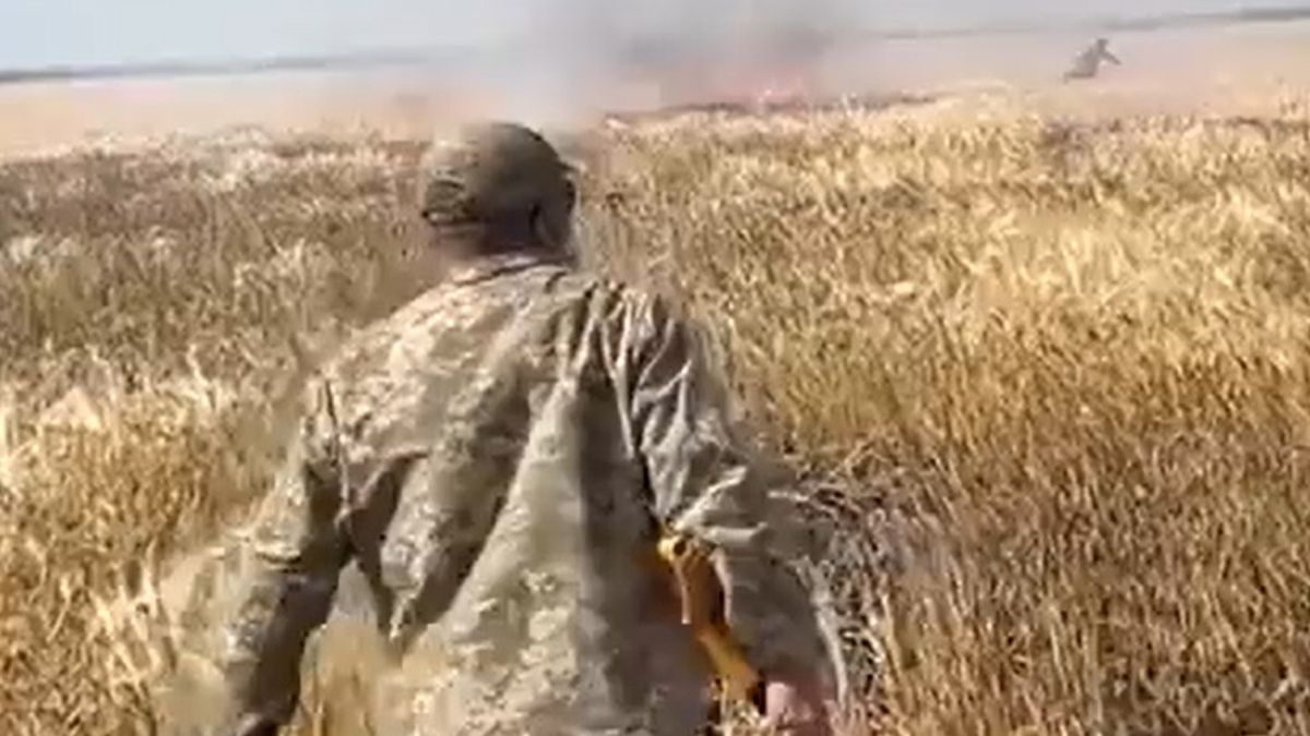 Rosjanie celowo niszczą uprawy ukraińskich rolników. To kolejny przykład bestialstwa okupanta 