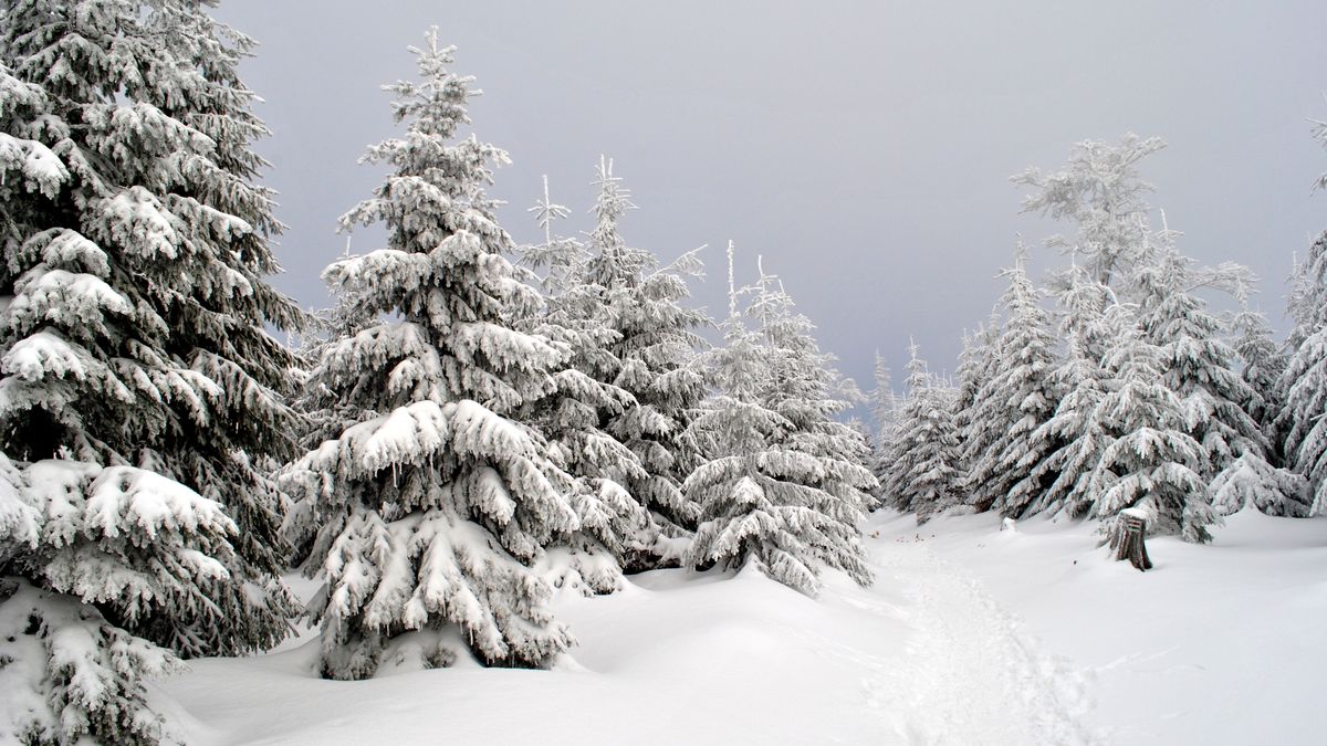 Zimowa aura panuje w całej Polsce 