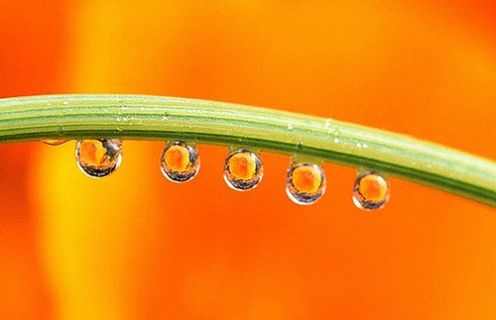 Wiosna, nareszcie wiosna! - zobacz 15 wiosennych fotografii 6