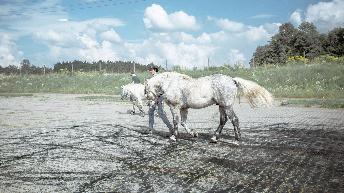 Grand Press Photo 2020: Pieter Ten Hoopen przewodniczącym jury 1