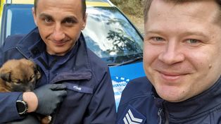 Sarnaki: Pięć szczeniąt porzuconych w lesie. Znalazł je policyjny patrol