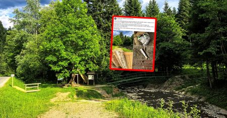 Taki widok w Bieszczadach. Zdjęcia obiegają sieć. Ręce opadają