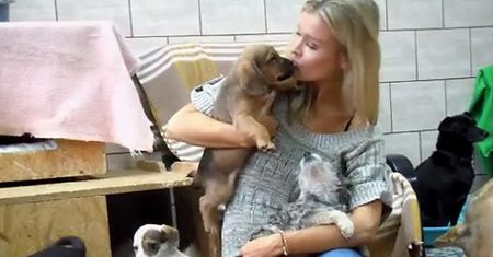 Joanna Krupa w schronisku dla psów
