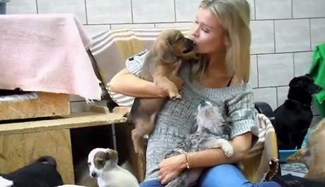 Joanna Krupa w schronisku dla psów