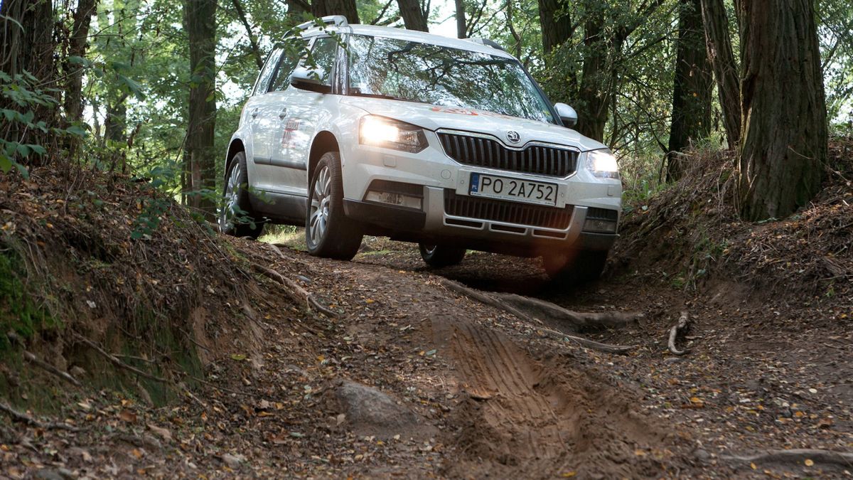 Zdjęcie ilustracyjne do artykułu