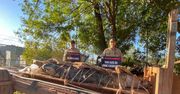 Australia. Złapano gigantycznego krokodyla. Zwierzę waży 350 kilogramów