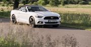 Ford Mustang Convertible 2.3 EcoBoost - 50 lat czekania