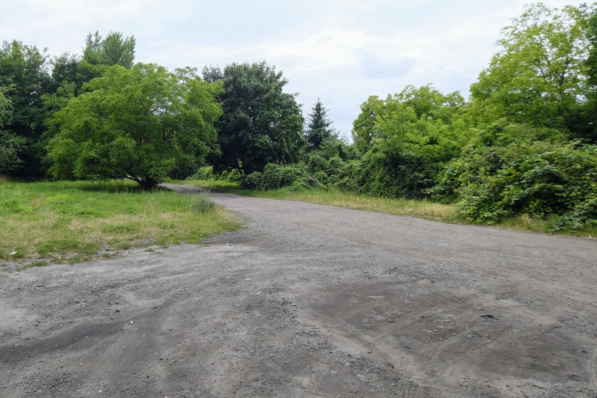 Na łazarzu powstanie nowy park? Tego chcą społecznicy i mieszkańcy.