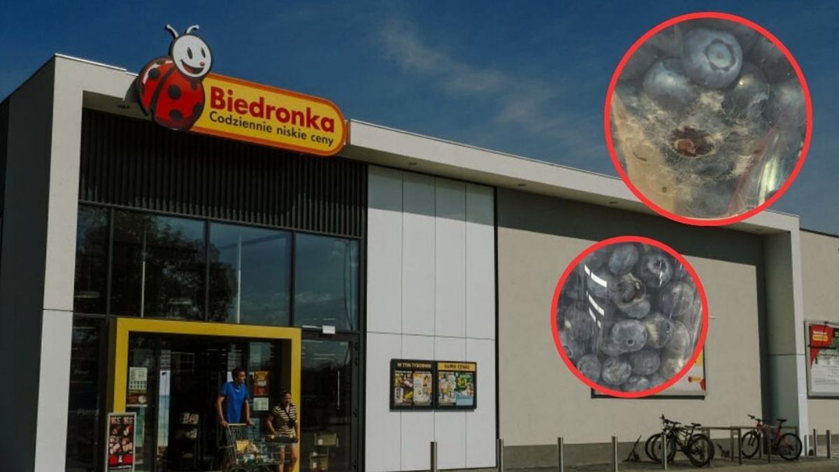 Biedronka odpowiada na pytania w sprawie pleśni w owocach