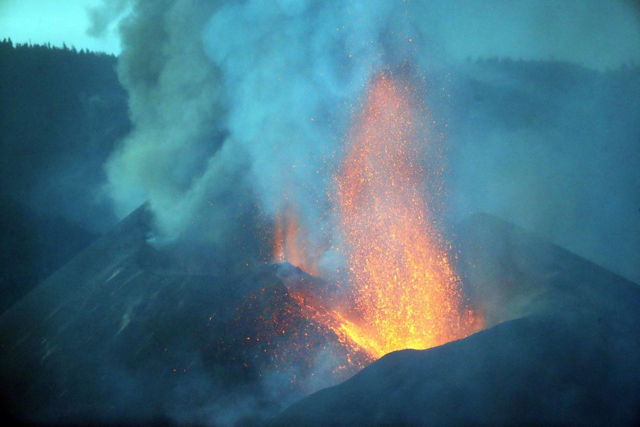 La Palma. Dramat zwierząt uwięzionych przez lawę