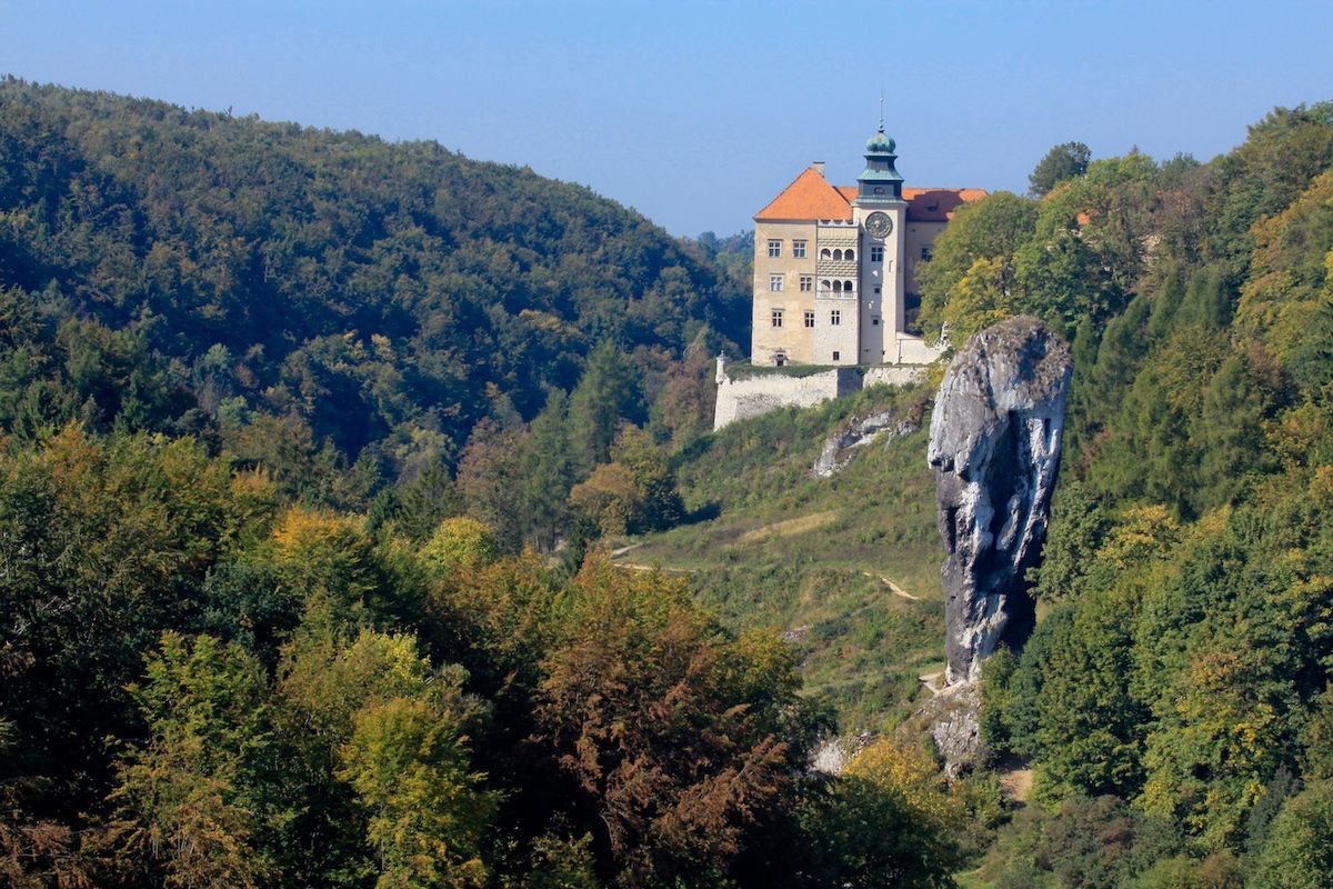 Obraz