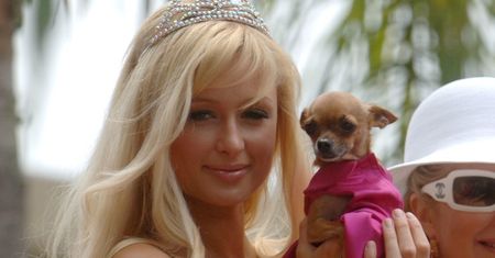 Paris Hilton zaprzecza, że jest w ciąży! "Czekam na to do mojego ślubu"