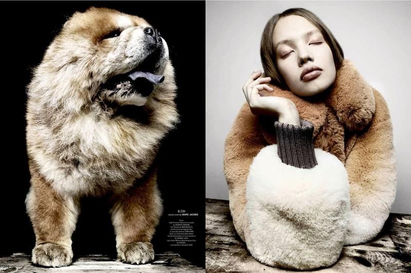 Deep Breeding - międzygatunkowe związki w wykonaniu Platona 10