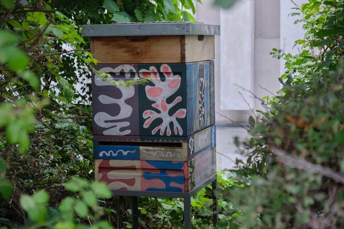 Miejska Pasieka Artystyczna CSK
