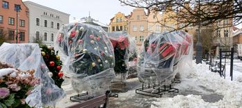 Grudziądz: Nadchodzi Jarmark św. Mikołaja 2025 - będą koncerty