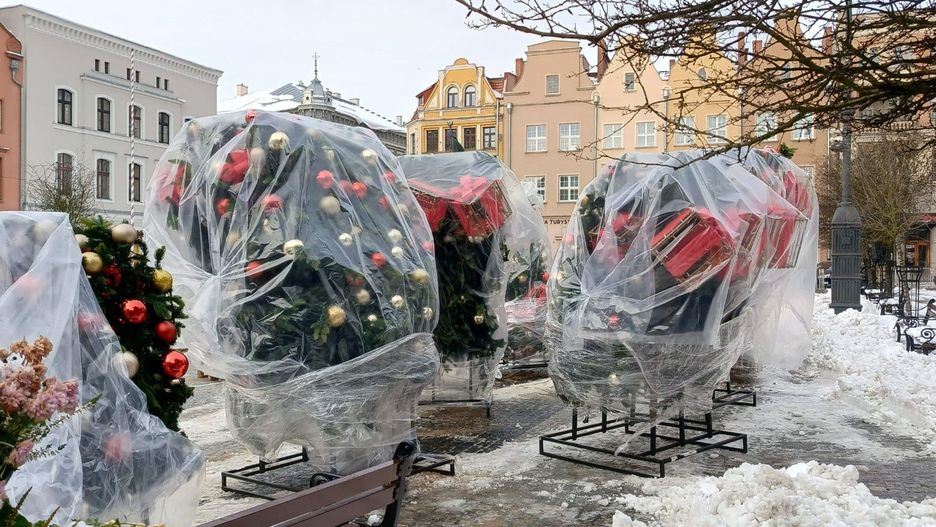 Ustawianie choinki na Rynku w Grudziądzu