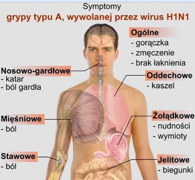 Grypa AH1N1 znów w Warszawie