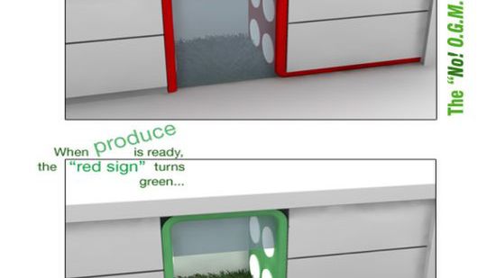 Ogródek warzywny pod kuchennym blatem 1