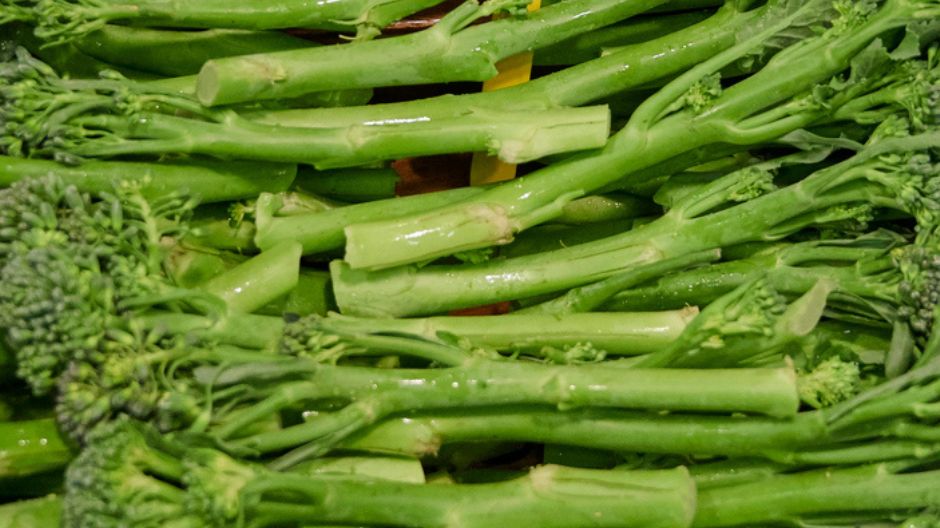 Jakie właściwości ma bimi?