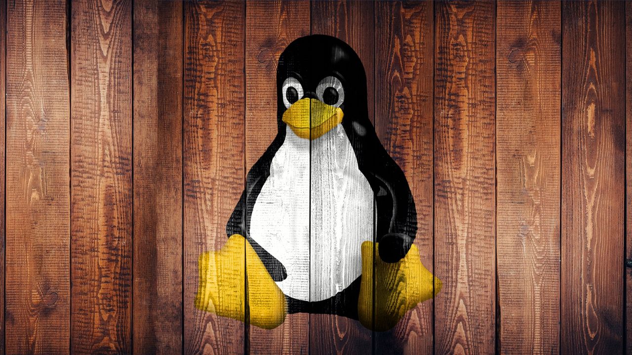 Linux 5.8 jest "wielki", fot. Pixabay