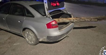 Przekonywał, że był na grzybobraniu. Tyle pokazał alkomat