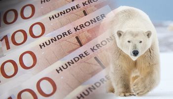 Obudził niedźwiedzia polarnego. Zapłaci 50 tys. koron