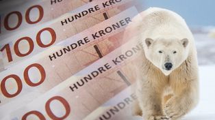 Obudził niedźwiedzia polarnego. Zapłaci 50 tys. koron