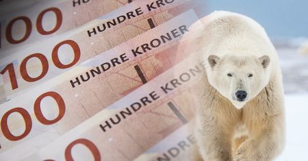 Obudził niedźwiedzia polarnego. Zapłaci 50 tys. koron