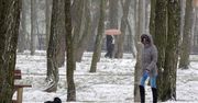 Toruń: Śnieg, silny wiatr i śliskie drogi na początku stycznia