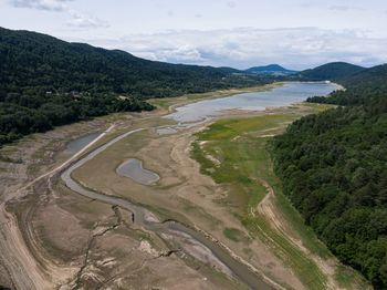 Dramatyczne wieści z południa Polski. "Umiera na naszych oczach"