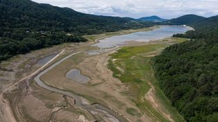 Dramatyczne wieści z południa Polski. "Umiera na naszych oczach"