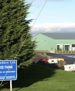 Polaka wciągnęła ogromna maszyna. Szkocka fabryka bierze winę na siebie