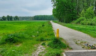 Cudem uniknęli zalania. Powódź tysiąclecia zmieniła tu wszystko