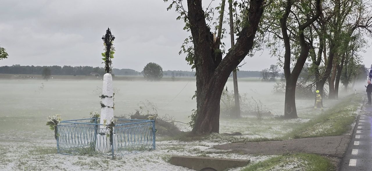 Po nawałnicy 