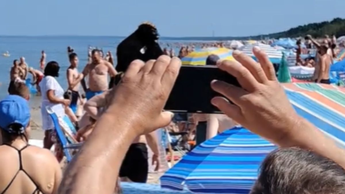 Sceny w Krynicy Morskiej.