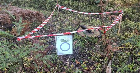 Ktoś położył go na pniu przy drodze. Leśnicy wstrząśnięci