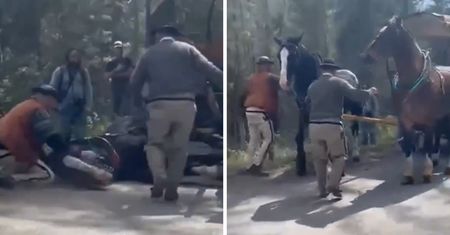 Nagranie z trasy nad Morskie Oko zelektryzowało sieć. Nowe ustalenia