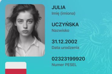 grafika
