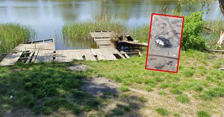 Zobaczył, co odkryła woda. Natychmiast wezwał służby