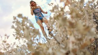 Tylko dla dorosłych widzów. "Sponiewiera nawet najodważniejszych"