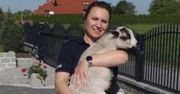 Nietypowa interwencja policjantów. Zwierzę czeka na właściciela