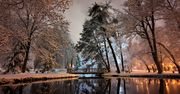 Pierwszy śnieg w Częstochowie 2025. Park Staszica wygląda jak z baśni – zobacz zdjęcia