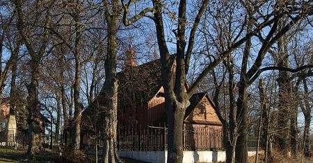 Tajemniczy cmentarz w sercu polskiego miasta. Przyciąga swoją mistyczną atmosferą