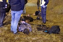 Akcja w Lublinie. Dopadli Gruzinów na środku ulicy