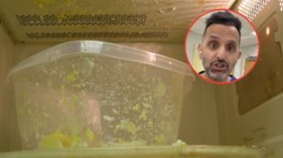 Mikroplastik w organizmie? Ekspert mówi, czego już nie robi