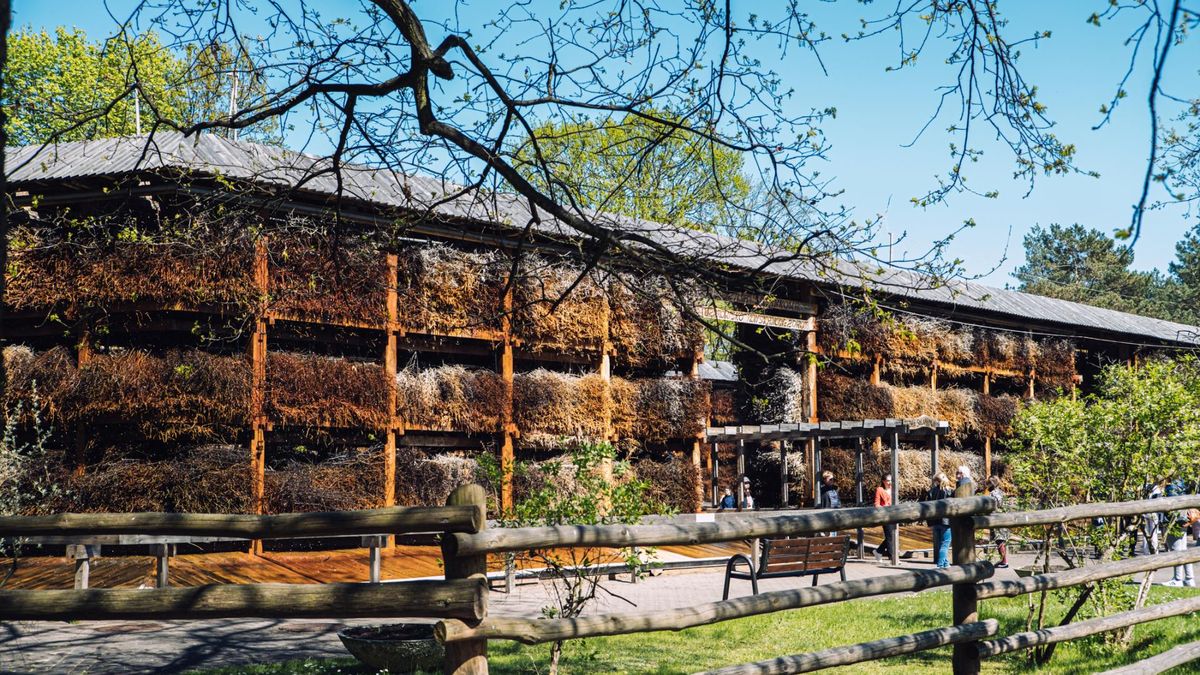 Rosnące dowody naukowe wskazują na konieczność wprowadzenia norm i kontroli jakości solanki