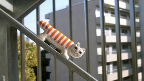 To kot? To zabawka? Nie - to aparat! 1