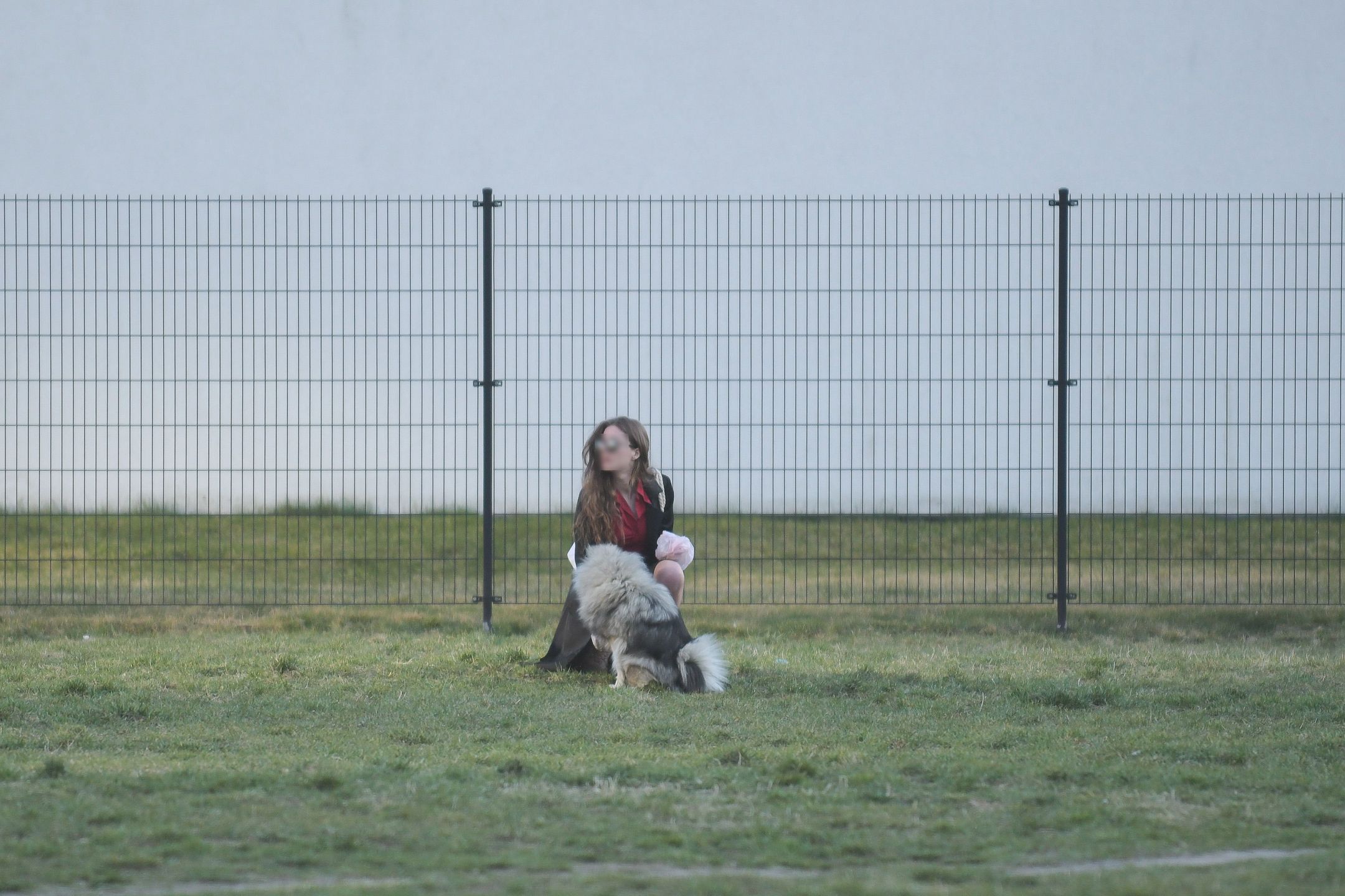 Kochanka Antka Królikowskiego wyprowadza psa na spacer