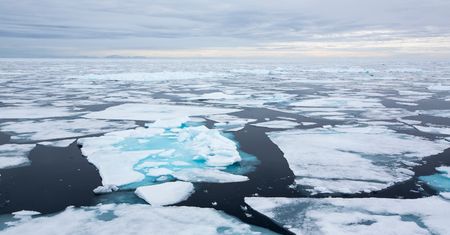 Arktyka ociepla się jeszcze szybciej. Eksperci alarmują ws. zmian klimatu i groźnego zjawiska
