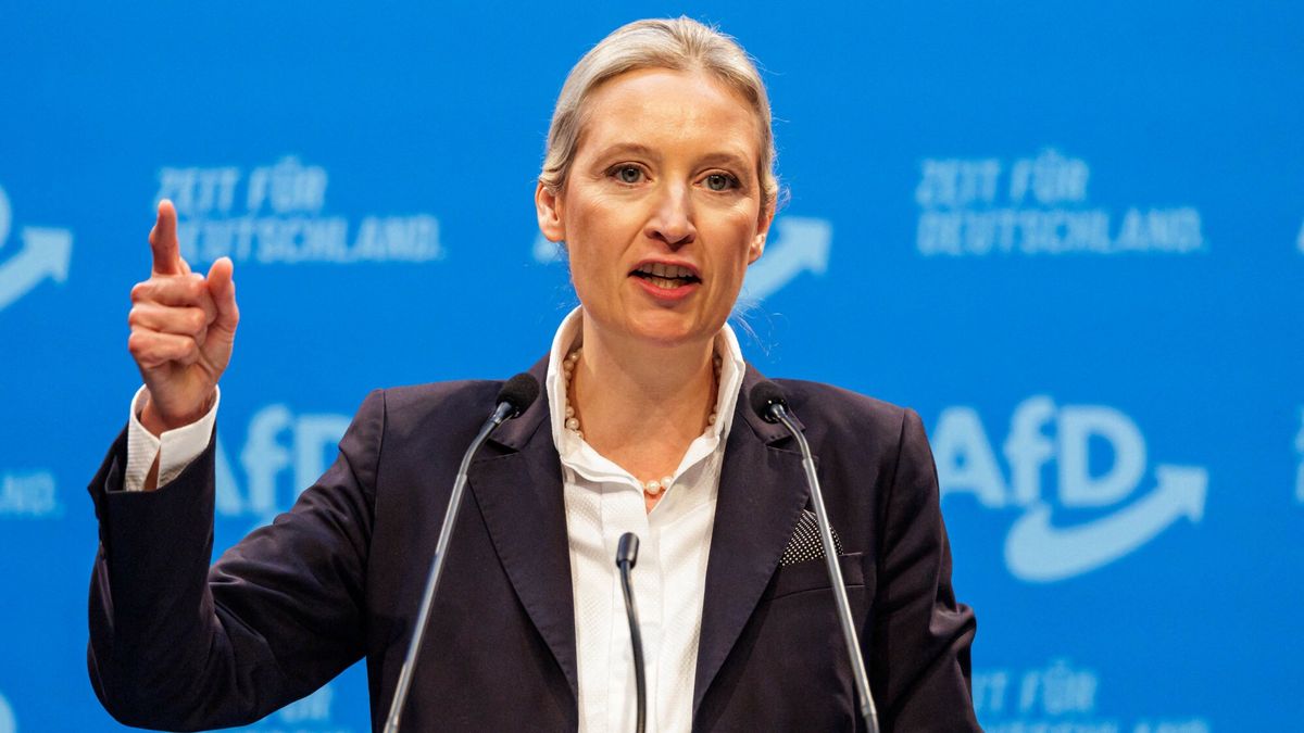 Liderka prawicowo-populistycznej Alternatywy dla Niemiec (AfD) A